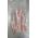 1-BEEF SHORTPLATE EXCEL 3mm 1 kg